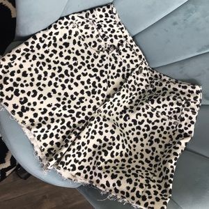 American eagle animal print short